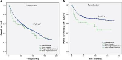 Tumor Location May Independently Predict Survival in Patients With M0 Squamous Cell Carcinoma of the Penis